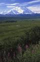 Escorted land tours of Alaska