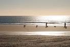 Four dogs and a big beach - via Daymix
