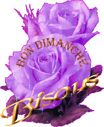 Afficher l'image d'origine