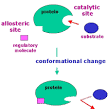 allosteric.gif