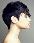 by Jean Marc Joubert - web_collection_short_hair