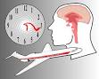 A new understanding of jet lag Study explains why biological clock ...