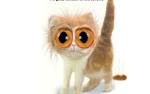 BIG EYES - Animal Humor Wallpaper (4515746) - Fanpop
