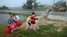 Ready to get back home,' sighs one of thousands of weary Isaac ...