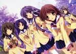 Sunday Spotlight: Clannad and Clannad After Story | Exfanding Your ...