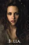 Bella Sawn Collectible Card - Kristen Stewart Photo (10230737 ... 