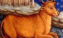 8 Tips on Dating a Taurus Man