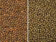 Gluten-free diet - Wikipedia, the free encyclopedia
