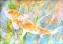 Koi carp, watercolor fish painting lesson