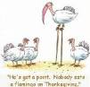 thanksgiving_flamingo.jpg