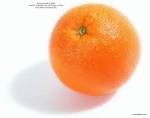 Orange - Orange Photo (774529) - Fanpop fanclubs