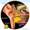 Ear Wax and Ear Care by MedicineNet.