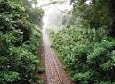 Singapore's railway corridors | thoughtgraph(