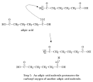 Making Nylon 6,
