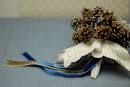 Pine cone bouquet - too plain? :  wedding pine cone bouqet Images?q=tbn:ANd9GcR PldUZNCd26d716oAytpUzDskLktBbtU UgAYZ2ZD20DK4I X S9KCRI