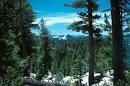 The Alpine Biome
