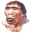 java man - public domain clip art image @ wpclipart.