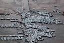 Unique Japan tsunami footage boon to scientists