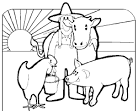 Farm Animals to Color