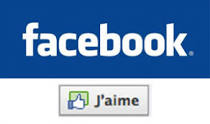 C.Facebook selenart