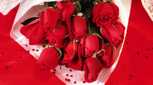 Love Ever Groups