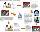 The GradPost at UC Santa Barbara - Tools - Learning Together: The ...