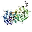 Fabry disease - Wikipedia, the free encyclopedia