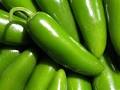 Jalapeno | BigOven Food Glossary