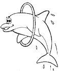 Dolphin coloring page
