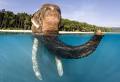 VU4PB - Andaman Islands