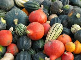 Winter squash