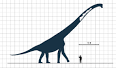 Sauroposeidon - Wikipedia, the free encyclopedia