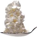 Whipped Cream Recipes