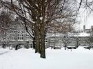 Haverford | Edu in Review Blog