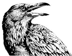 whorish ravens