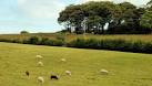 The Jan Mayen Clump J4580 : The 'Jan Mayen Clump' near Bangor is at top - via Daymix