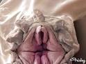 That's Vaginal! 10 Animals That Look Like Ladyflowers