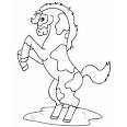 Equestrian coloring page