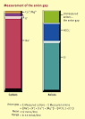 Metabolic effects of poisoning 101016jmpmed201111009