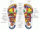 Reflexology in Framingham