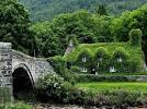 A CUP OF JO: Ivy houses