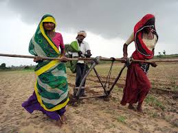 More from Rubab Abid | @RubabAbid. Indian farmers plough a field in preparation for sowing cotton seeds in Nani Kisol village. - india1