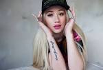 Iggy Azaleas Dogs Jelli and Space Jam are ADORABLE! - FuzFeed