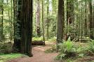 The Healing Life - Exploring the nature of healing, and the ...