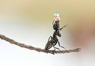 خدای من