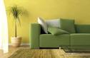 Lemon and Lime   Red yellow orange themes