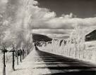 Minor White