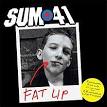 Fat Lip - Wikipedia, the free encyclopedia