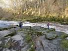 strid' through this very - via Daymix