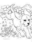 Dog coloring page